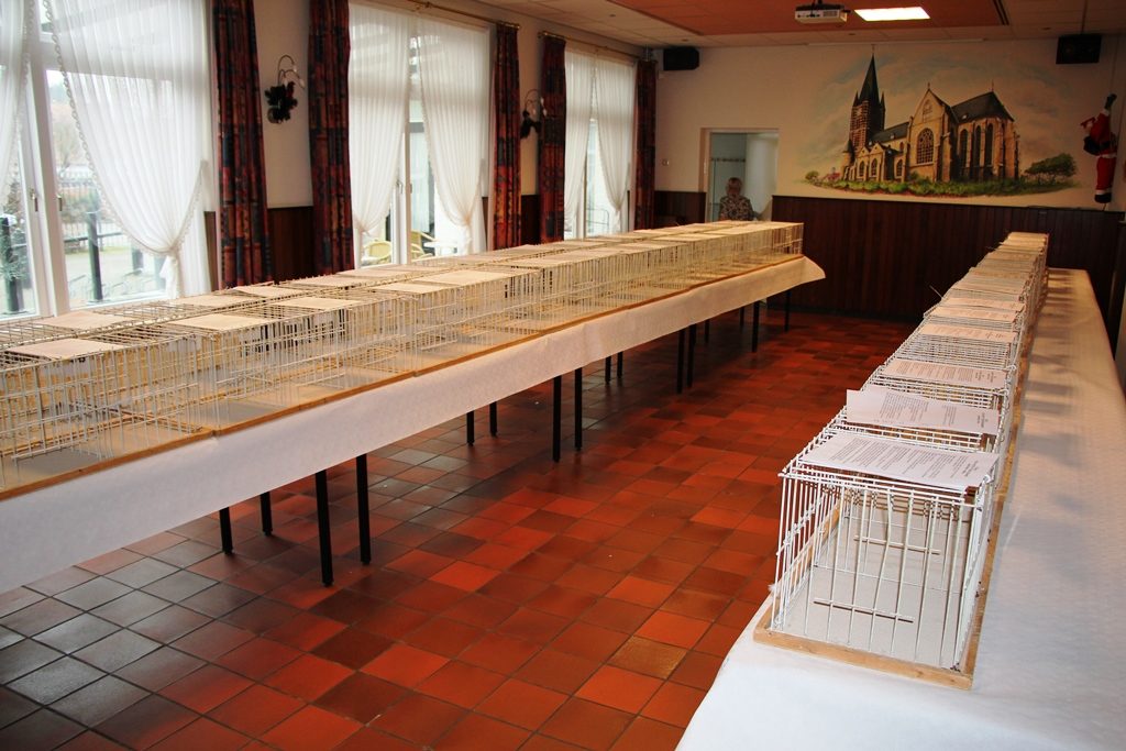 de-zaal-in-afwachtig-van-de-duiven