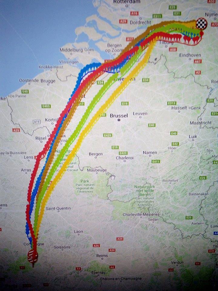 32288353_1643662802413945_6041933088890552320_n